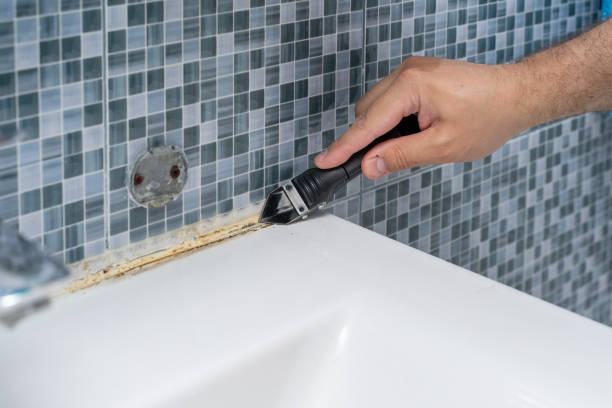 Best Bathroom Mold Remediation in Star Valley Ranch, WY